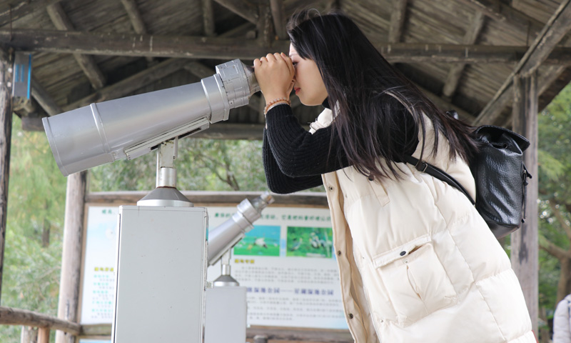 欣賞鼎湖山美景