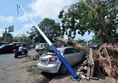 臺風(fēng)那么大，以后選擇戶外電源變壓器可要悠著點(diǎn)