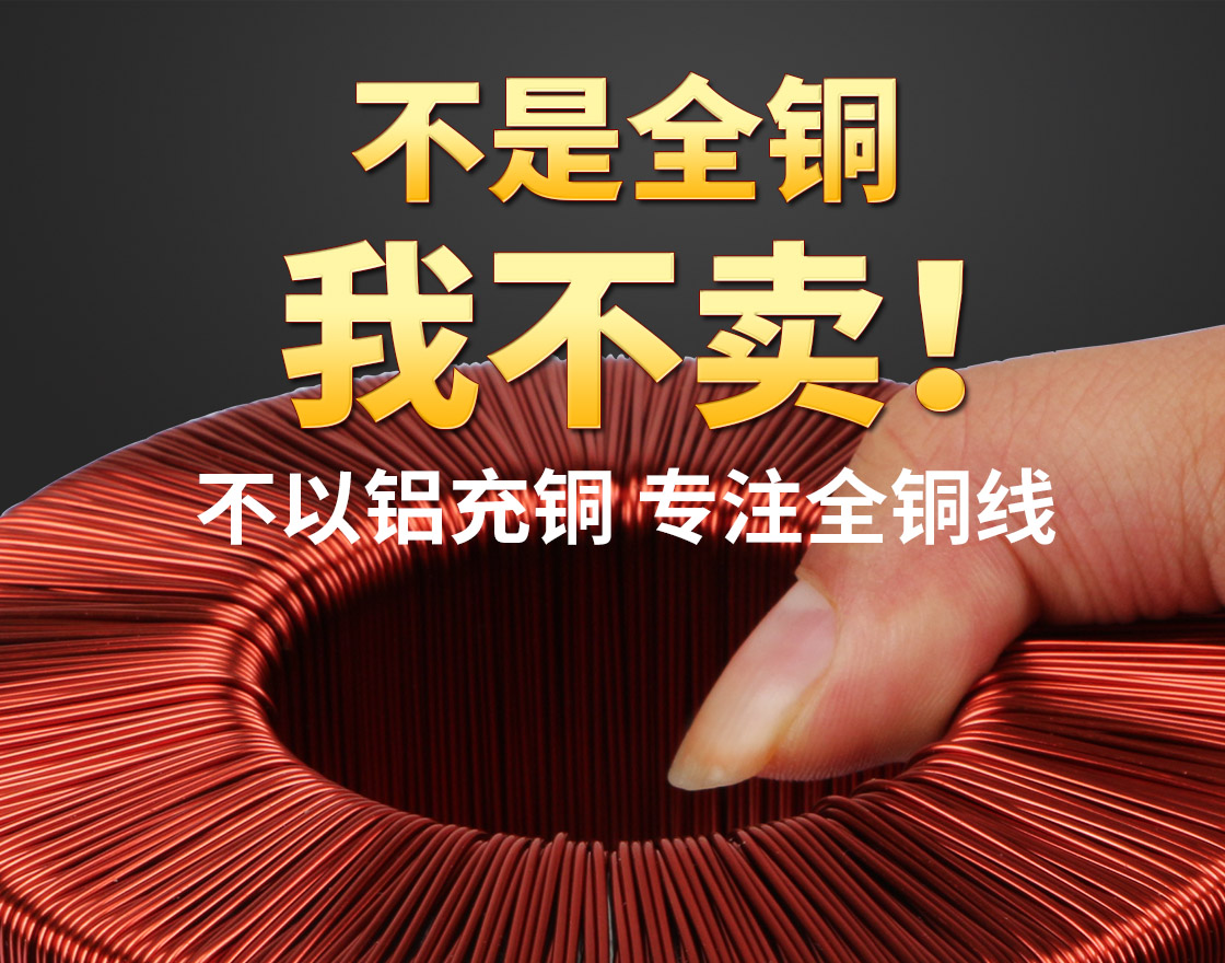 圣元環(huán)形變壓器-日產(chǎn)2000臺(tái)